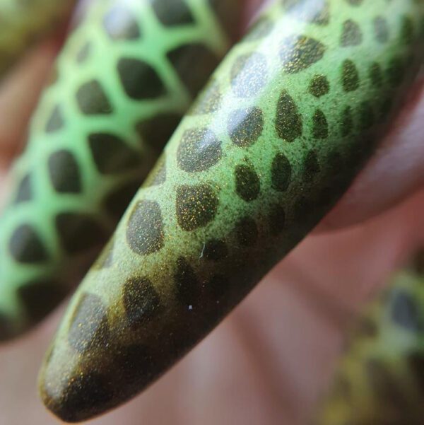 Lupa Macro para exposición de diseños Nail Art - Imagen 8